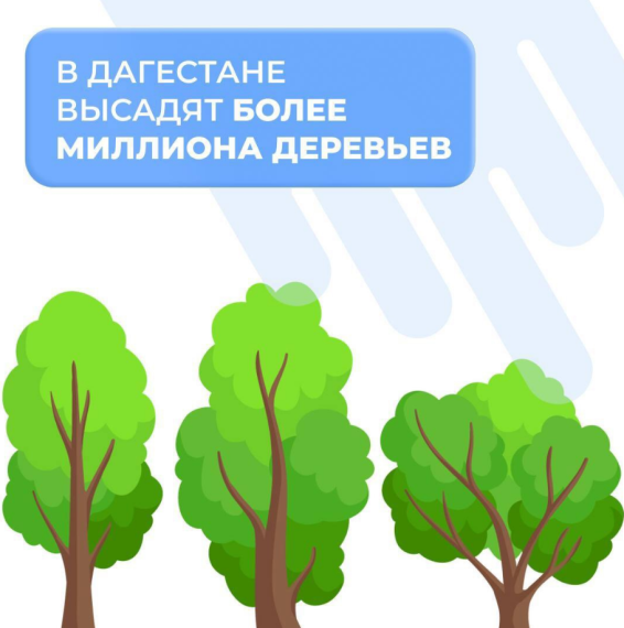 Посадка деревьев в Дагестане.